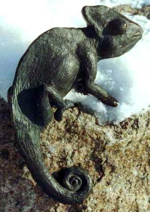 Cham&auml;leon