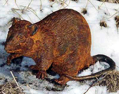 Ratte
